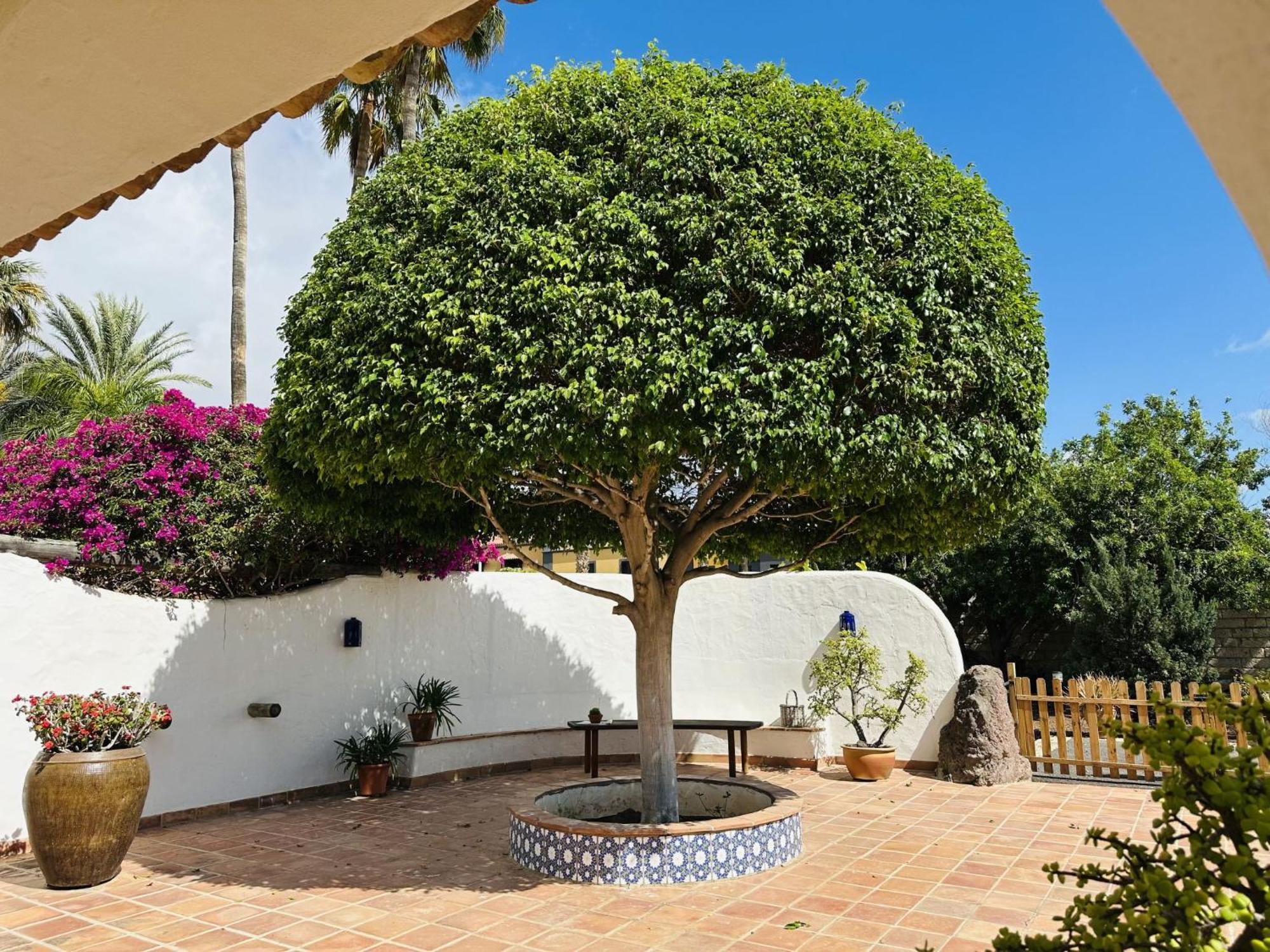 Villa Finca Ingala By Interhome Costa Adeje  Buitenkant foto